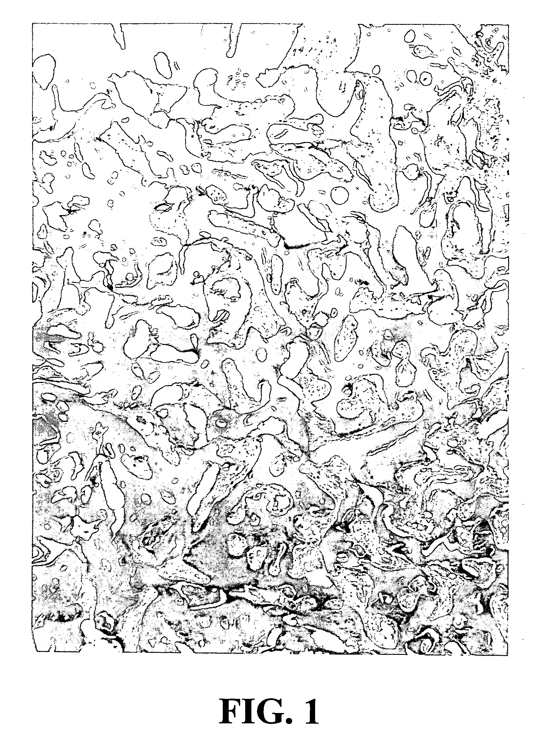 Compositions having improved osteogenesis and methods for making and using same