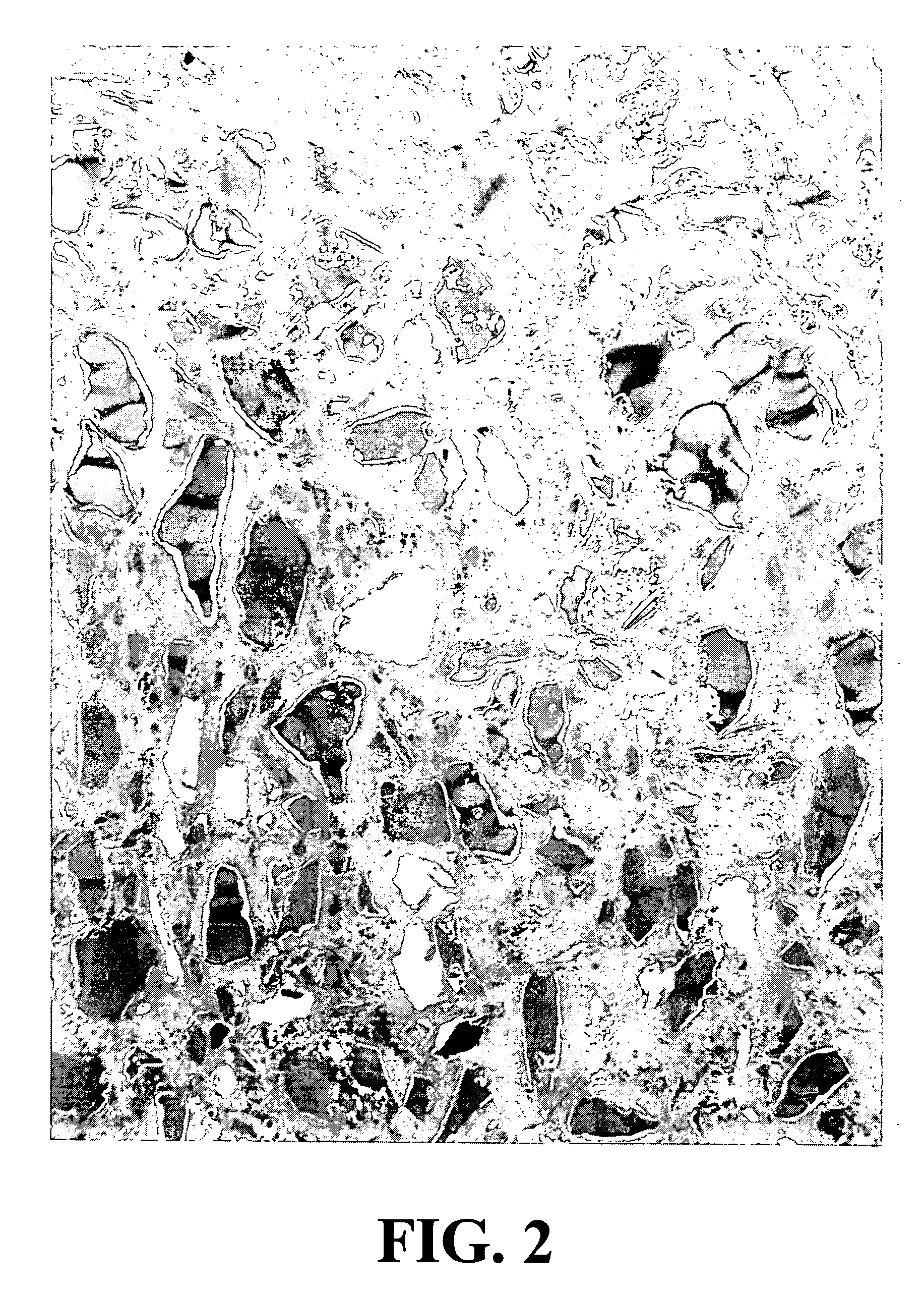 Compositions having improved osteogenesis and methods for making and using same