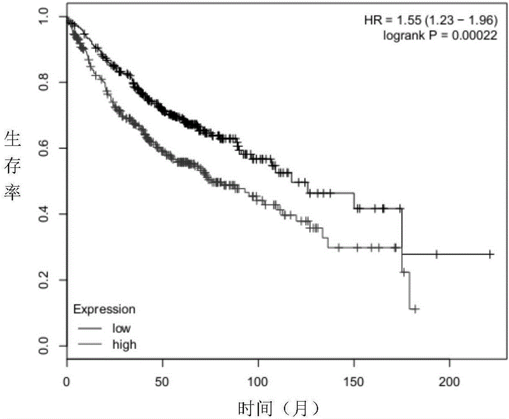 Application of HoxC11 as biological marker for preparing lung adenocarcinoma pre-diagnostic reagent