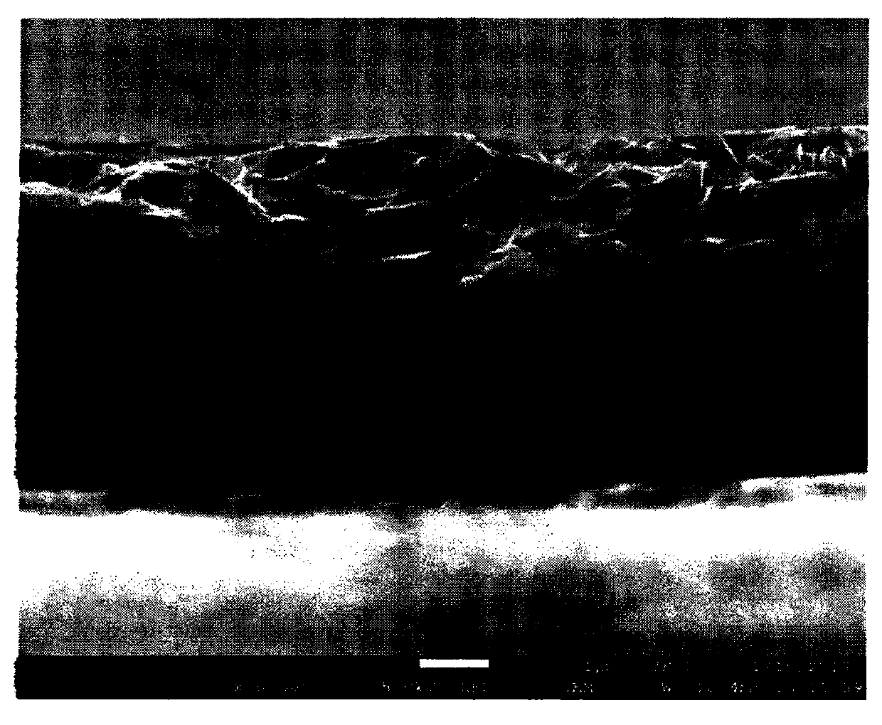 Graphene-silicon composite lithium ion battery negative electrode and preparation method thereof