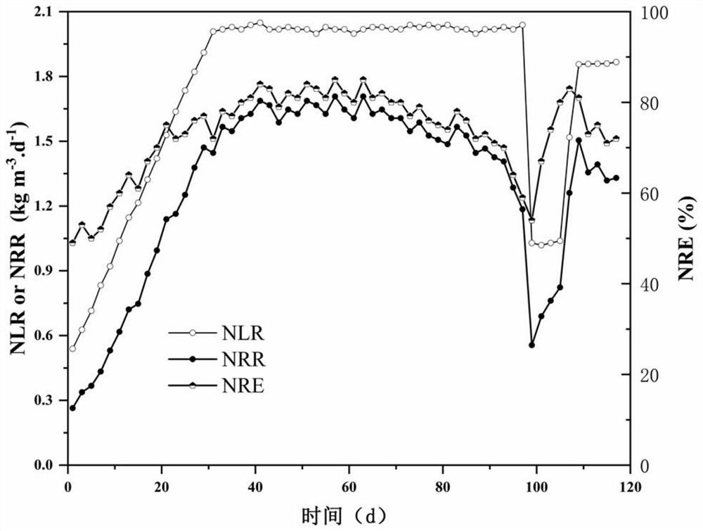 A method for cultivating anaerobic ammonium oxidation granular sludge resistant to low doses of fulvic acid