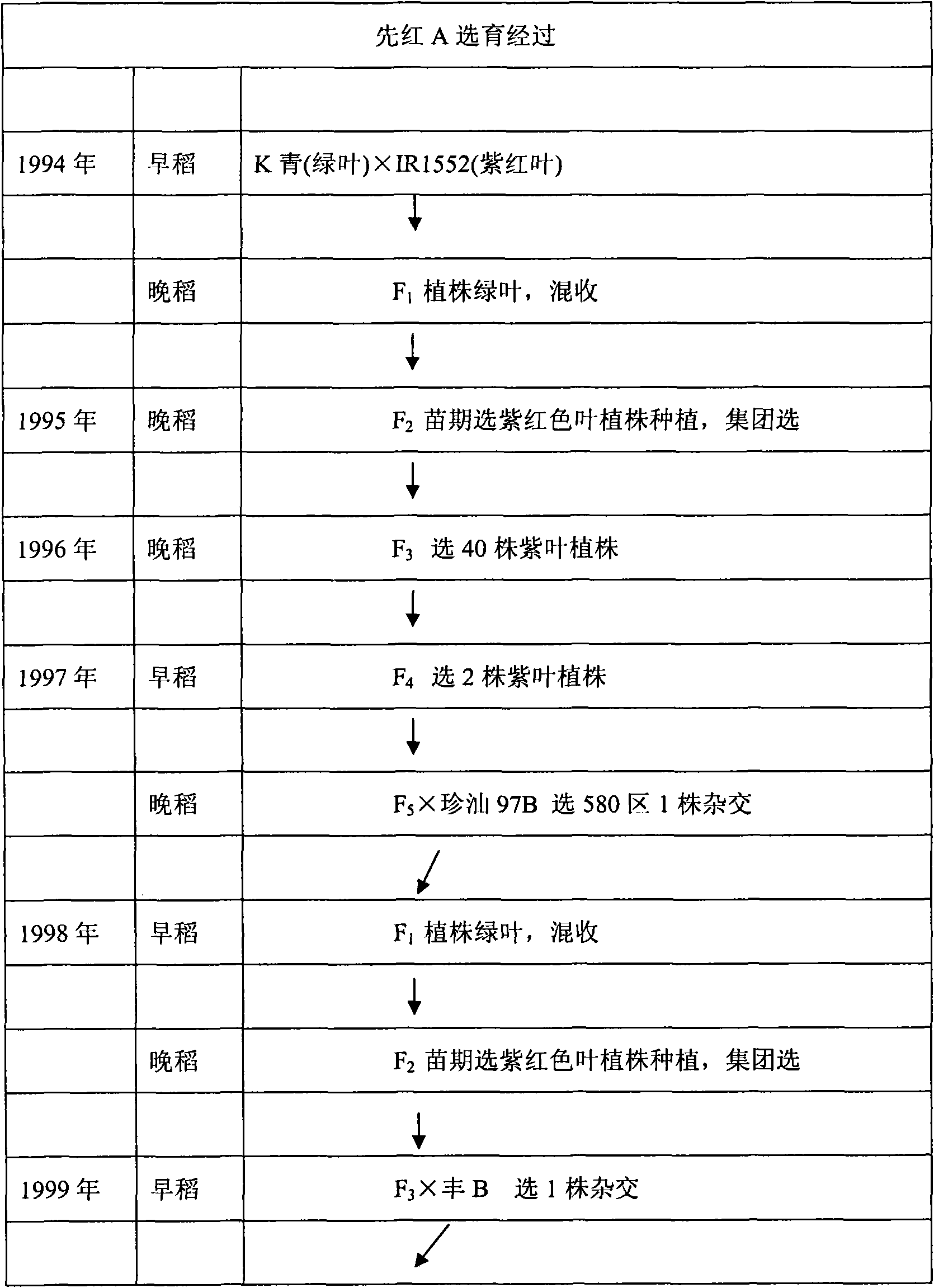 Method for producing seed by using three-line hybrid rice sterile line with purple leaf marker