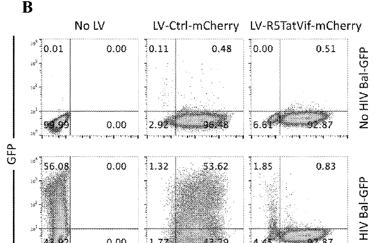 HIV pre-immunization and immunotherapy