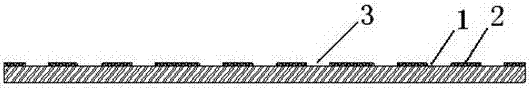 A kind of fcqfn package for preventing solder ball from collapsing and its manufacturing process