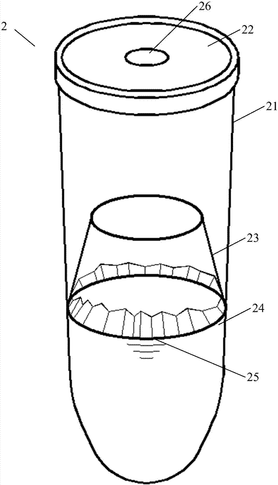 Scanning electron microscope sample processing method for head sensory appendages of white ants