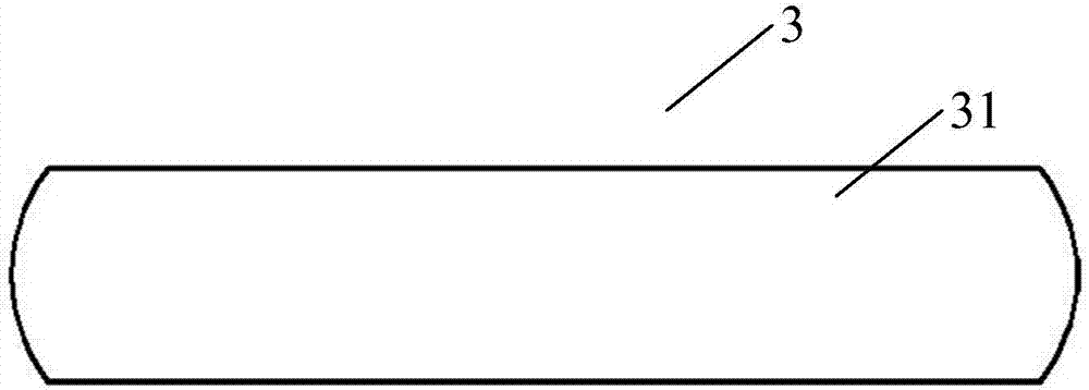 Scanning electron microscope sample processing method for head sensory appendages of white ants