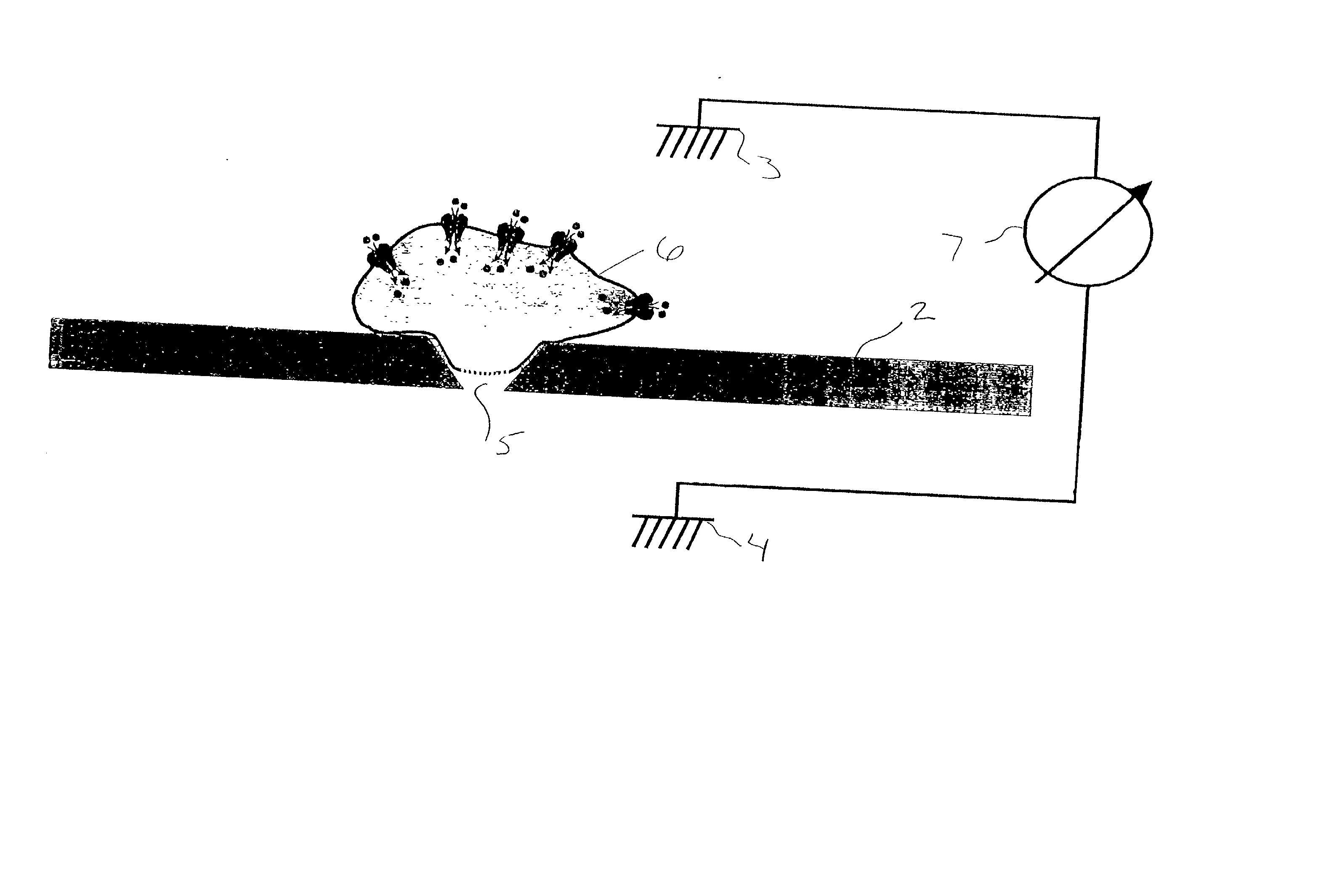 Device and technique for multiple channel patch clamp recordings