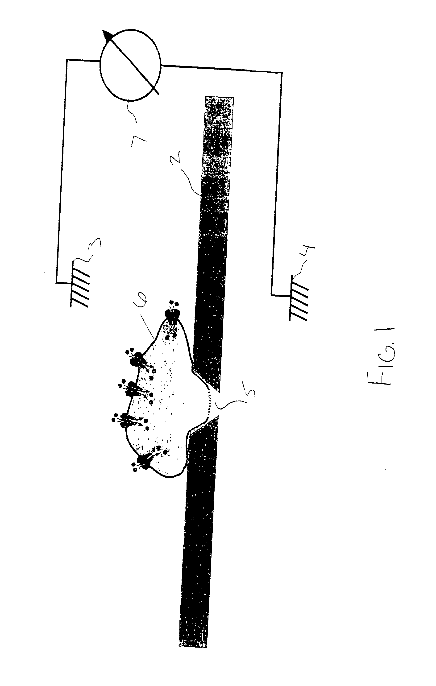 Device and technique for multiple channel patch clamp recordings