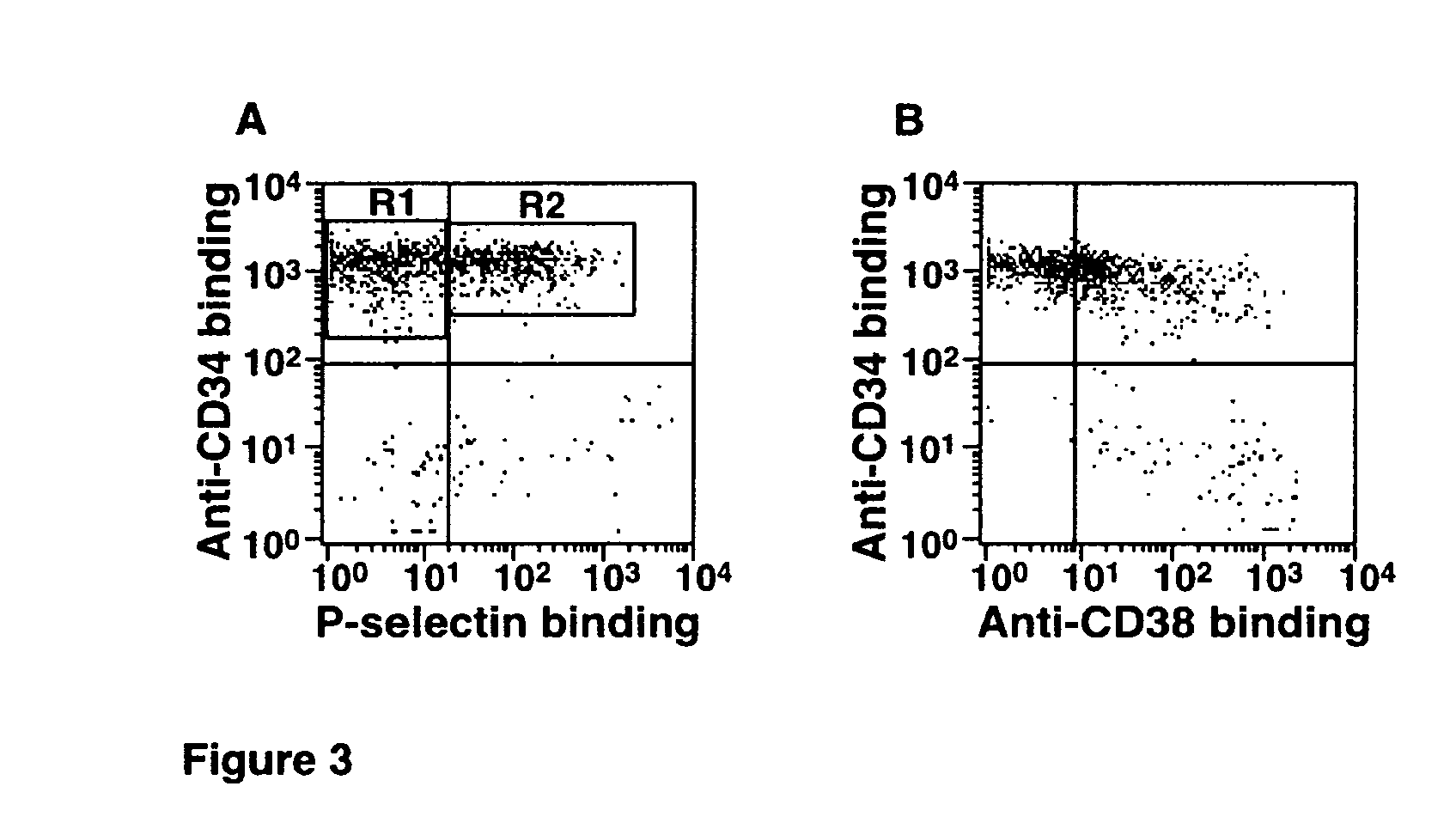 Hematopoietic stem cells treated by in vitro fucosylation and methods of use