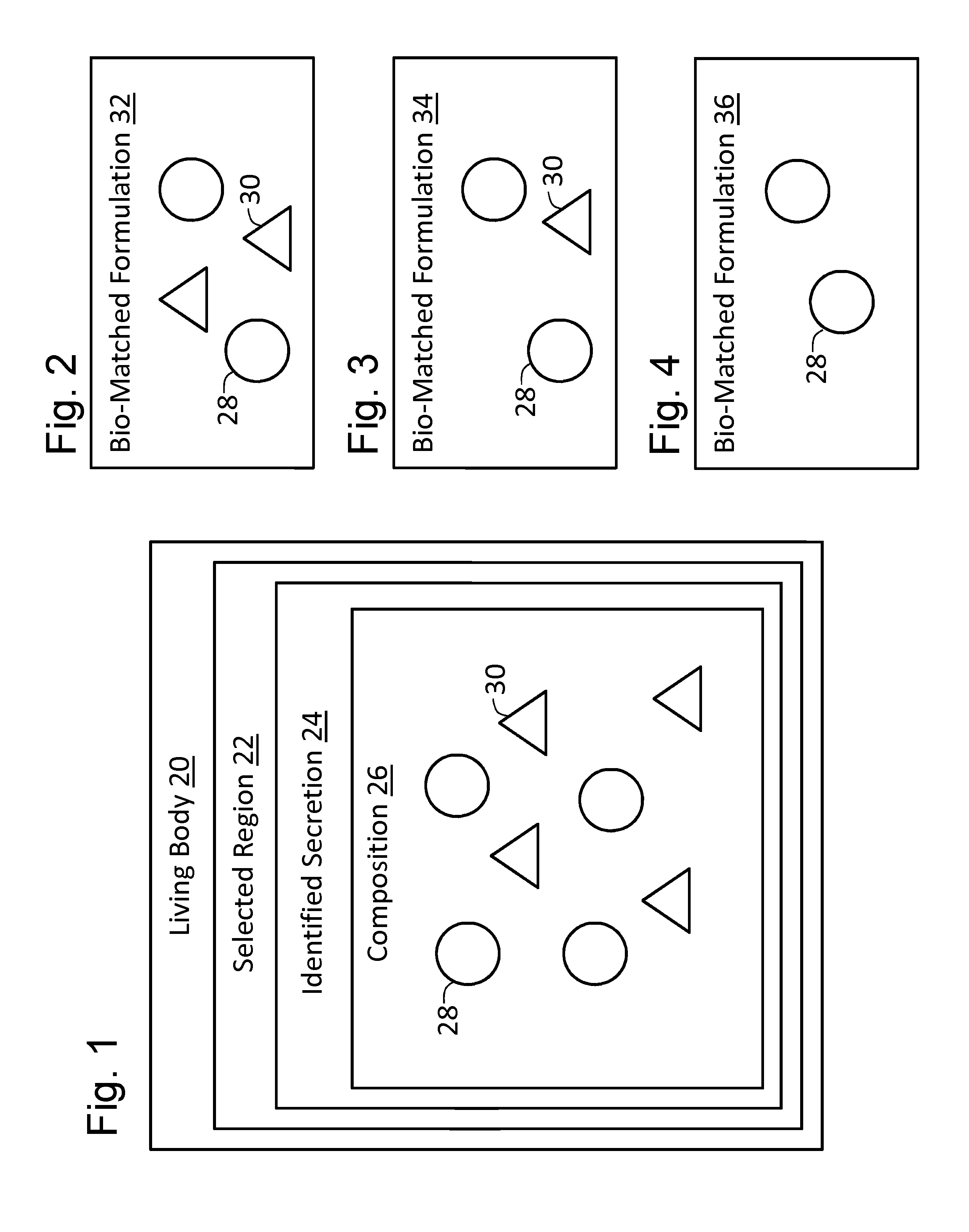 Systems and methods for bio-matching gels, creams and lotions