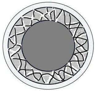 A double-coated lithium battery positive electrode material and preparation method thereof