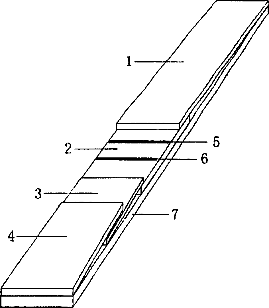 White spot syndrome virus on-spot detection test paper, its preparation and method of application