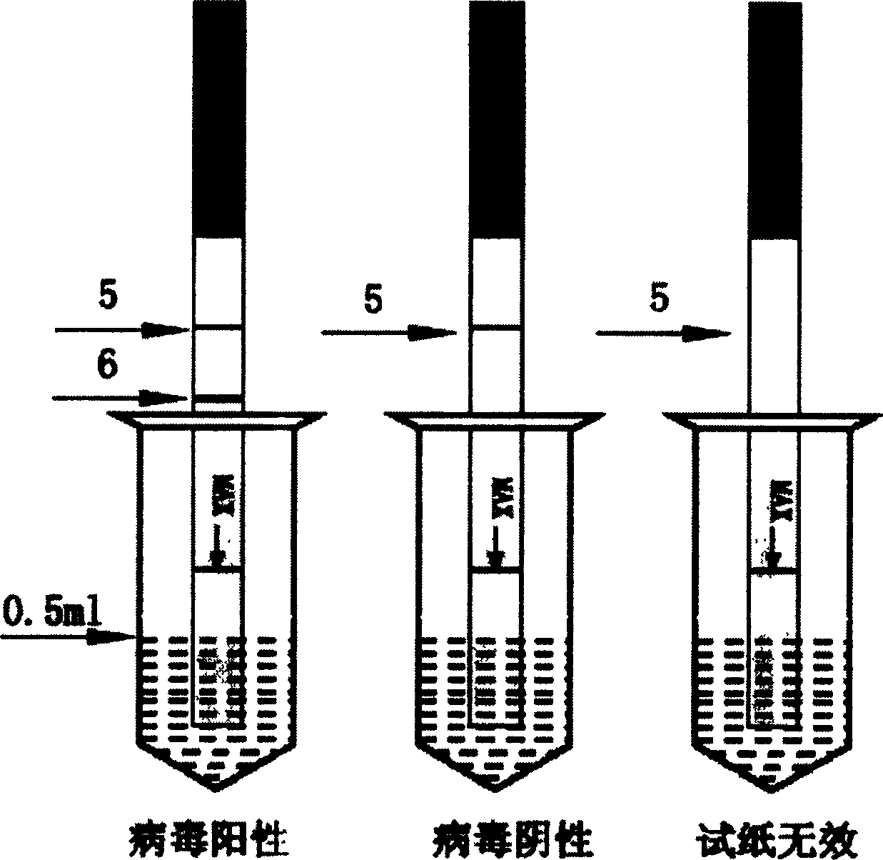 White spot syndrome virus on-spot detection test paper, its preparation and method of application