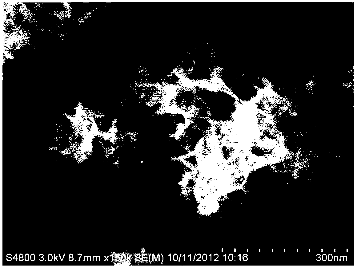 Al2O3, Cr2O3 composite nanofiber or nanosheet prepared from chromium-bearing aluminium sludge and preparation method thereof