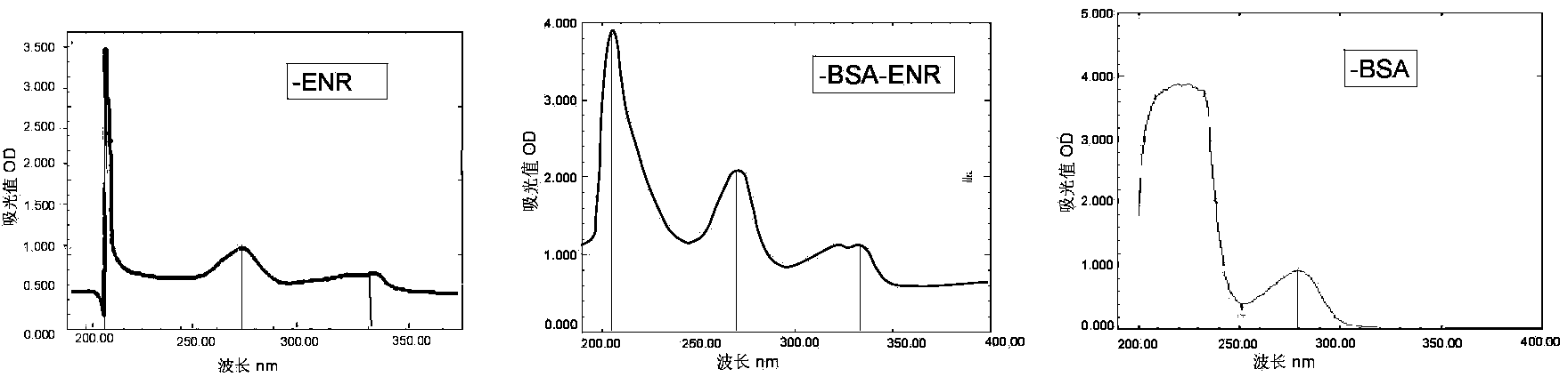 Enrofloxacin monoclonal antibody as well as preparation method and application thereof