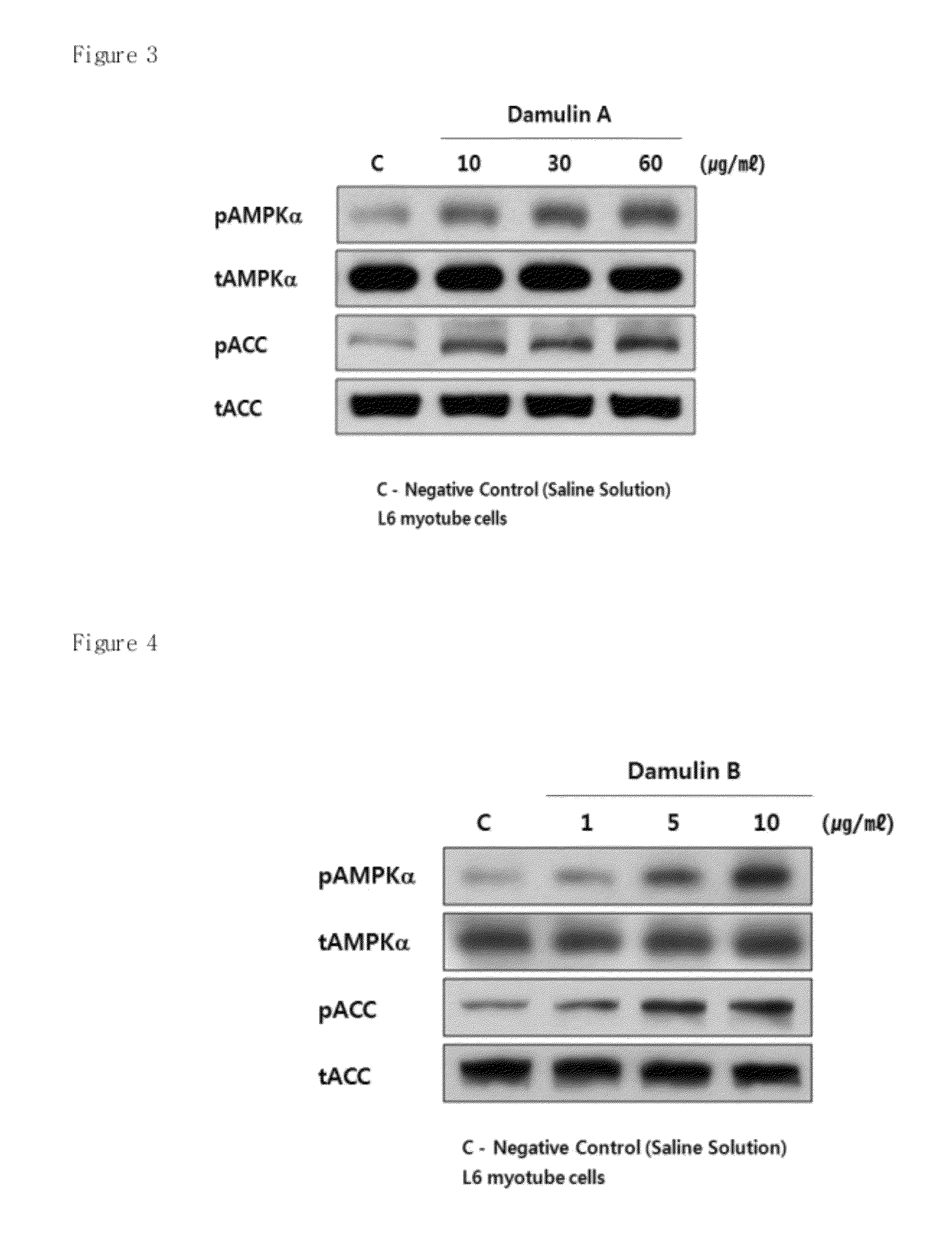 Method for preparing Gynostemma pentaphyllum extract with increasing damulin A and damulin B contents, and pharmaceutical compositions of the same for treating metabolic disease