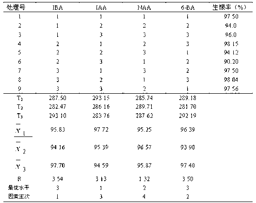 Clonal tissue culture breeding method of Liquidambar formosana Hance