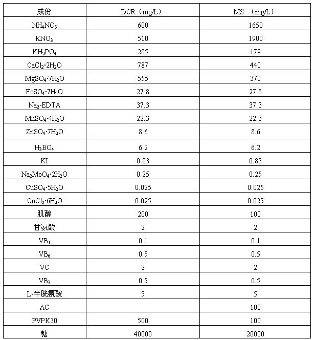 Clonal tissue culture breeding method of Liquidambar formosana Hance