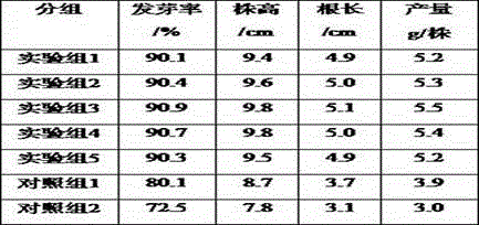 Water soluble fertilizer and preparation method thereof