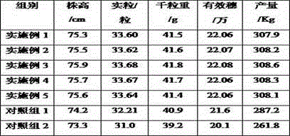 Water soluble fertilizer and preparation method thereof