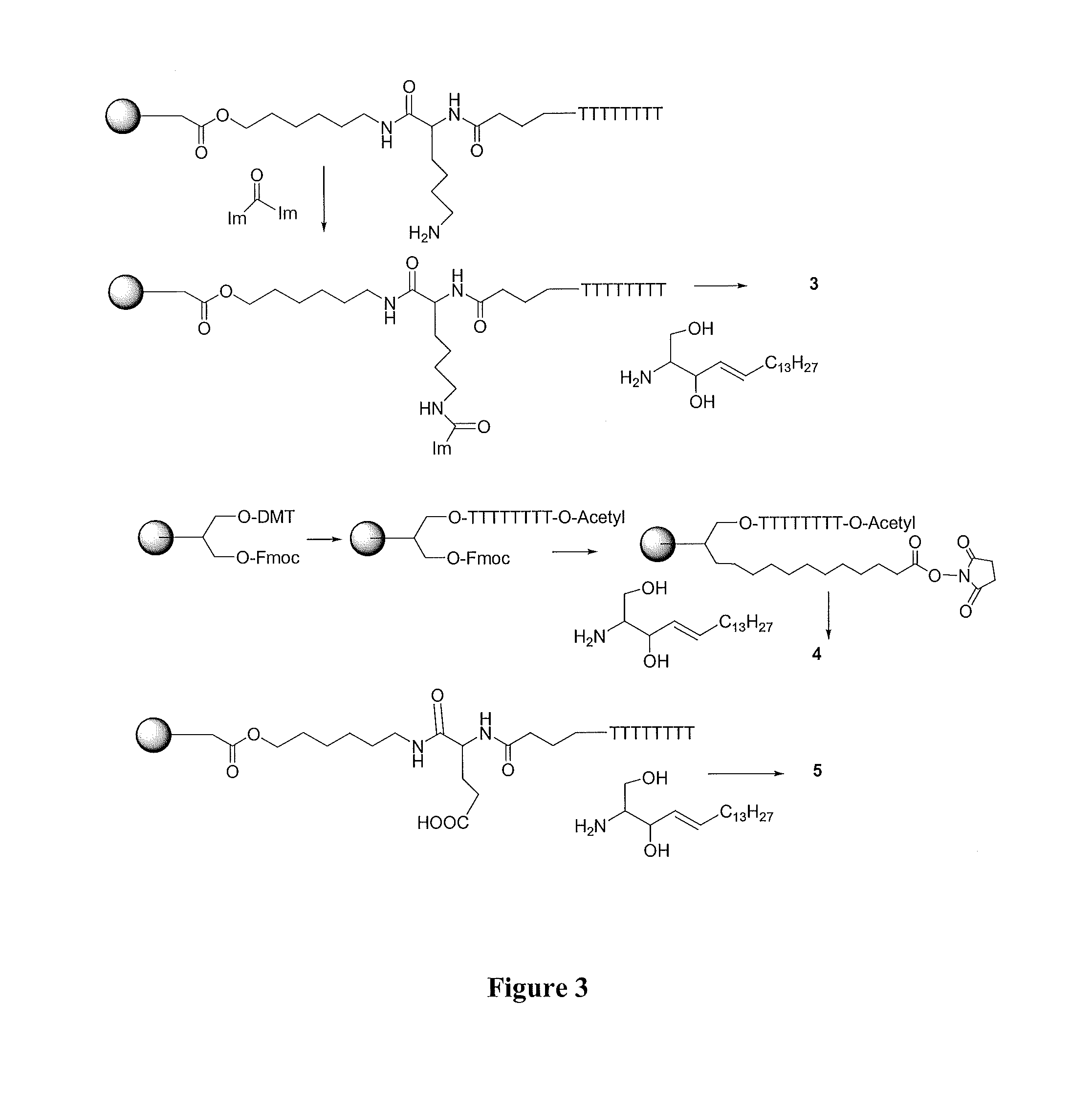 Sphingosine-bound siRNA