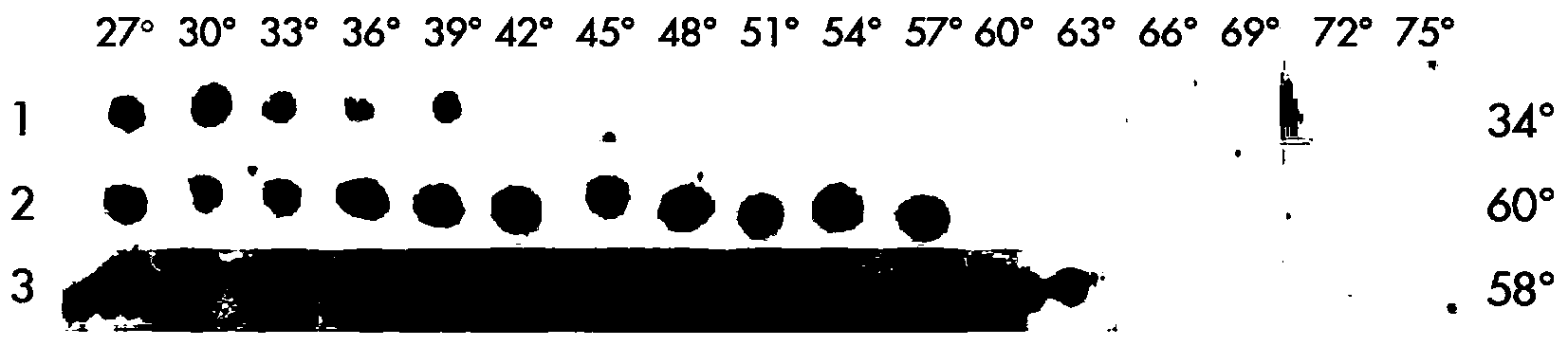 Methods for determining ligand binding to a target protein using a thermal shift assay