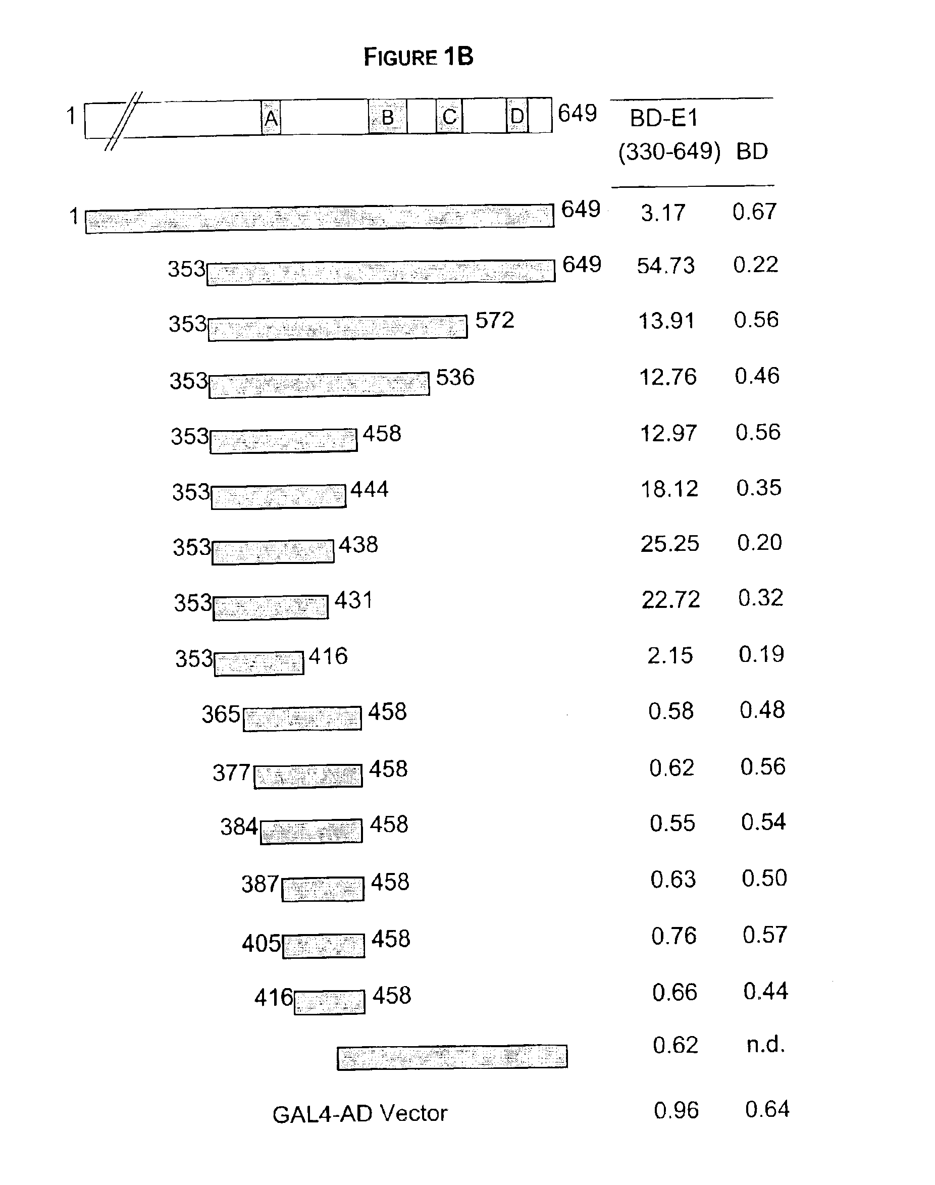 Regions of papilloma virus E1 helicase involved in E1 oligomerization