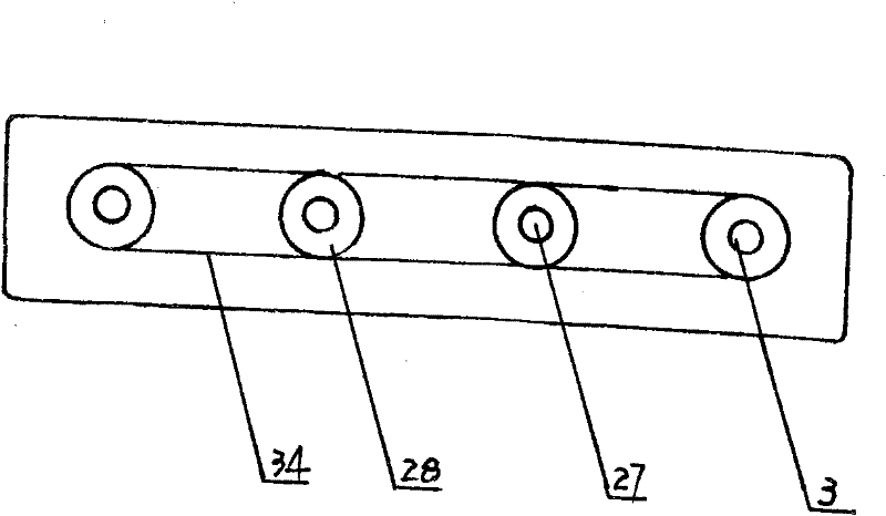 Multipath sewage filtering apparatus