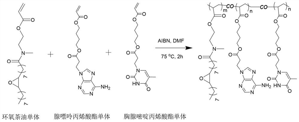 A preparation method of a photoresponsive adhesive with strong adhesion under water and the prepared photoresponsive adhesive