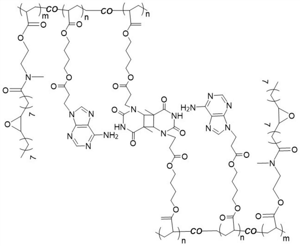 A preparation method of a photoresponsive adhesive with strong adhesion under water and the prepared photoresponsive adhesive