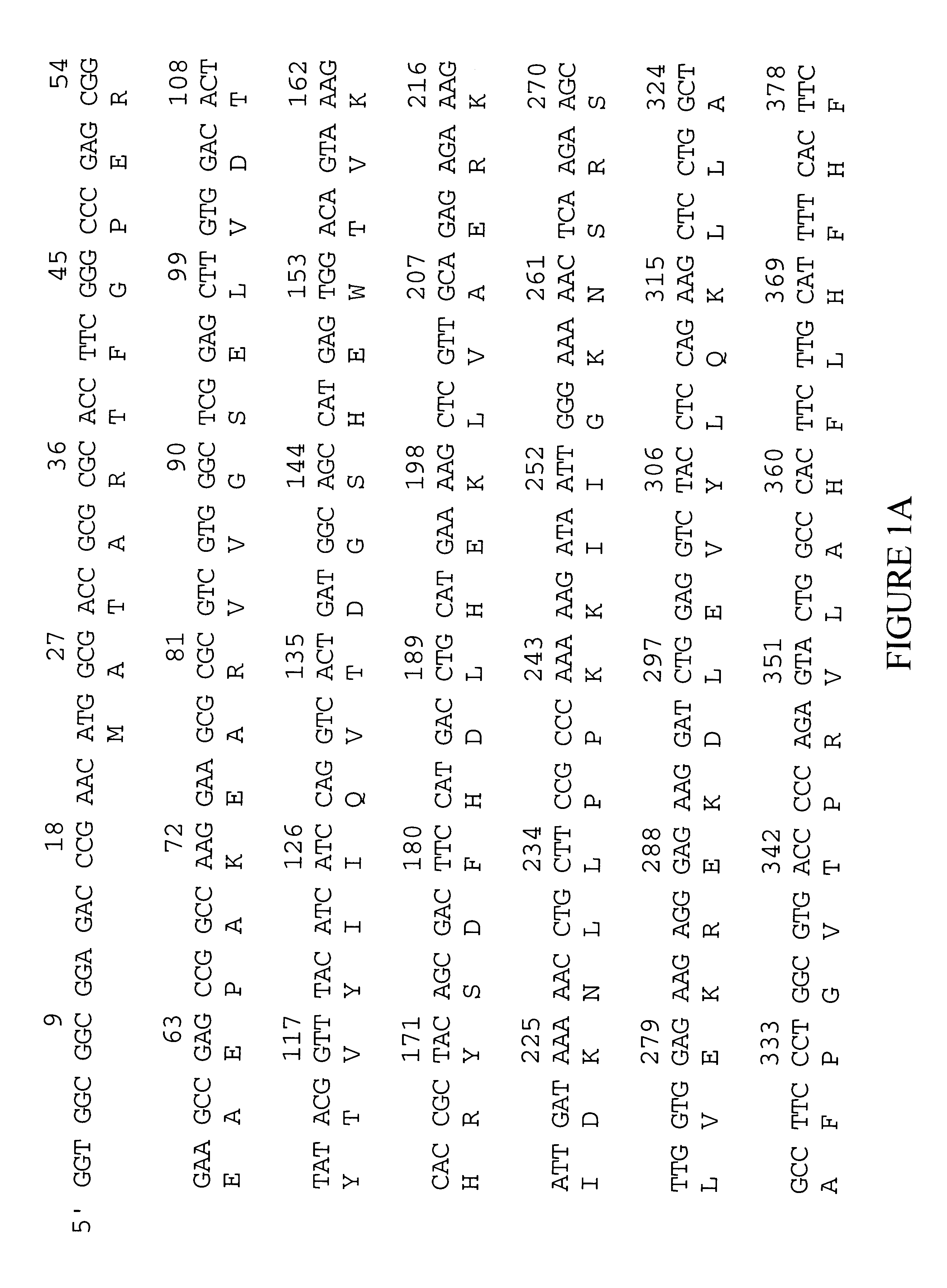 Mammalian imidazoline receptor