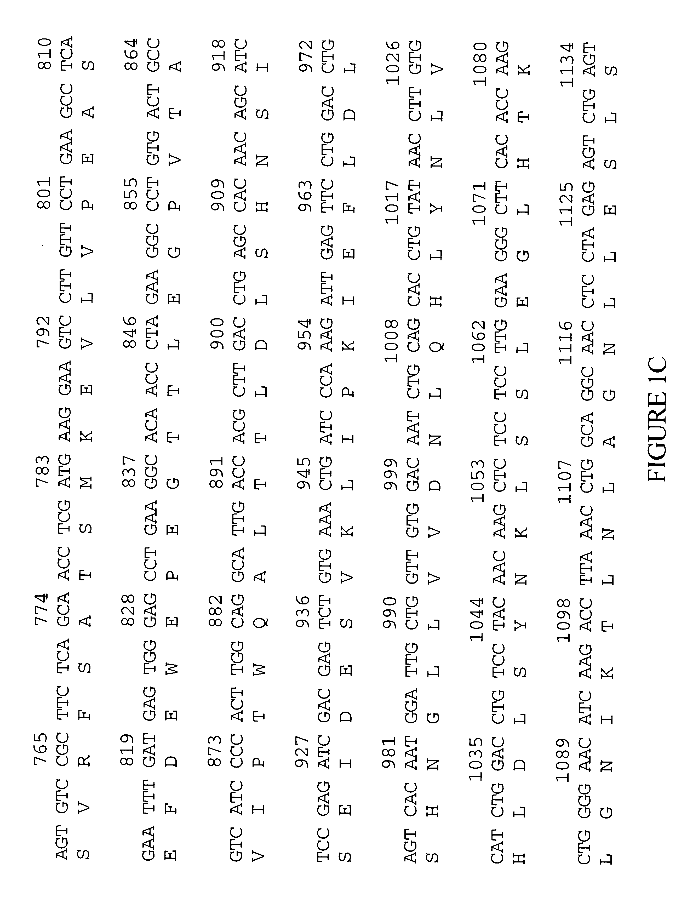 Mammalian imidazoline receptor