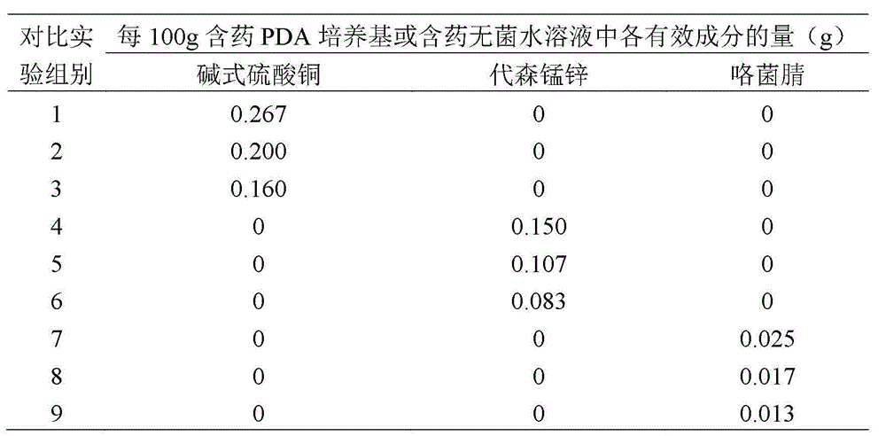 Pesticide composition and applications thereof in preventing and controlling saffron crocus corm rot