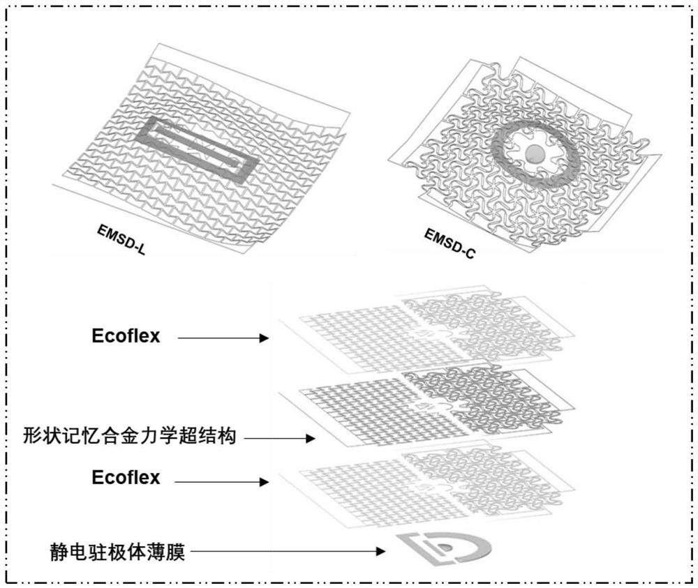 Thermal activation force-electricity synergistic dressing for accelerating wound healing and preparation method