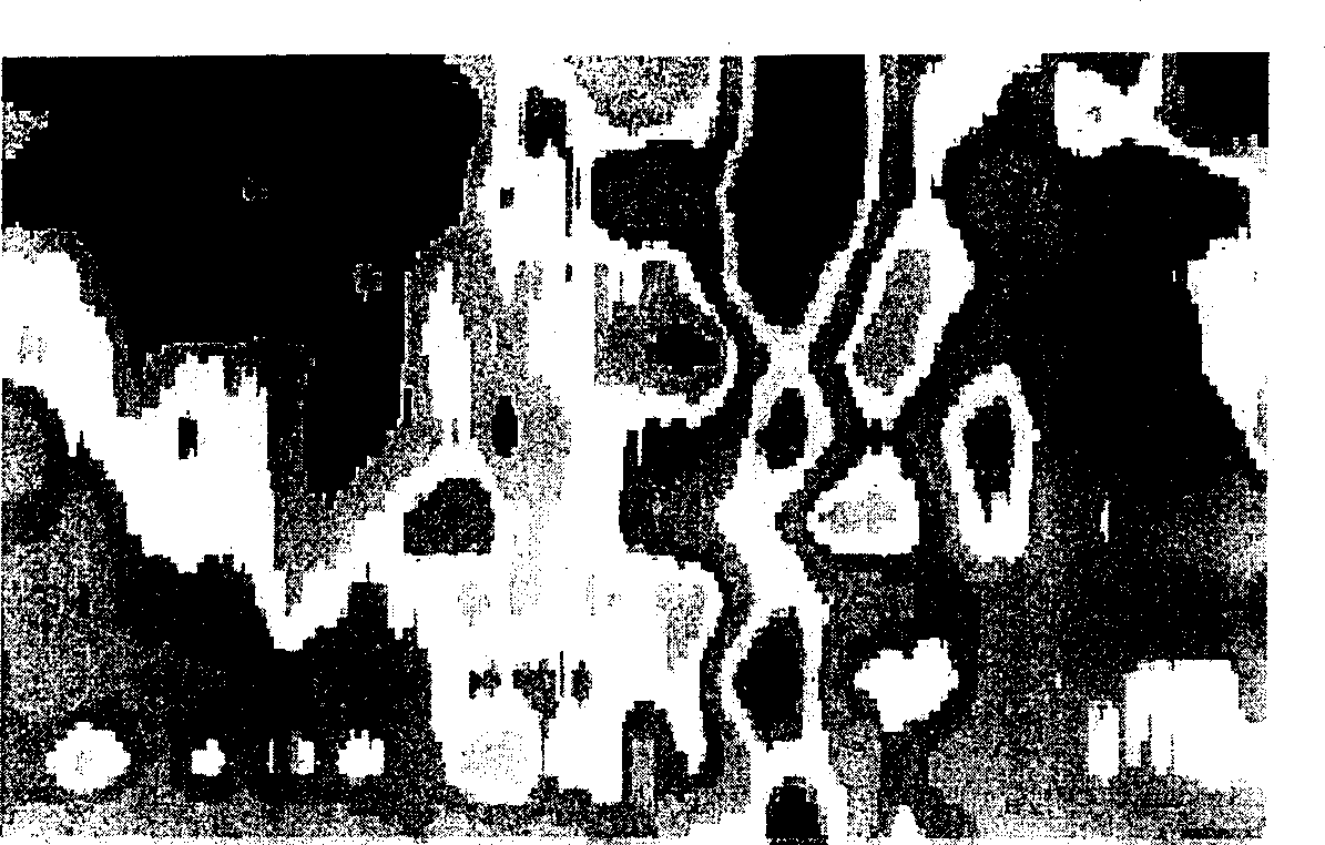 Metal in-situ statistical-distribution analysis method