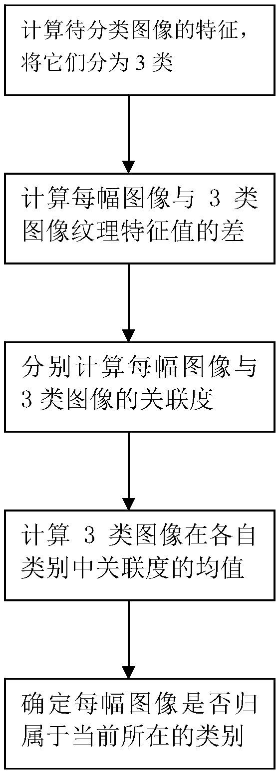 Image fuzzy classification method applying image correlation