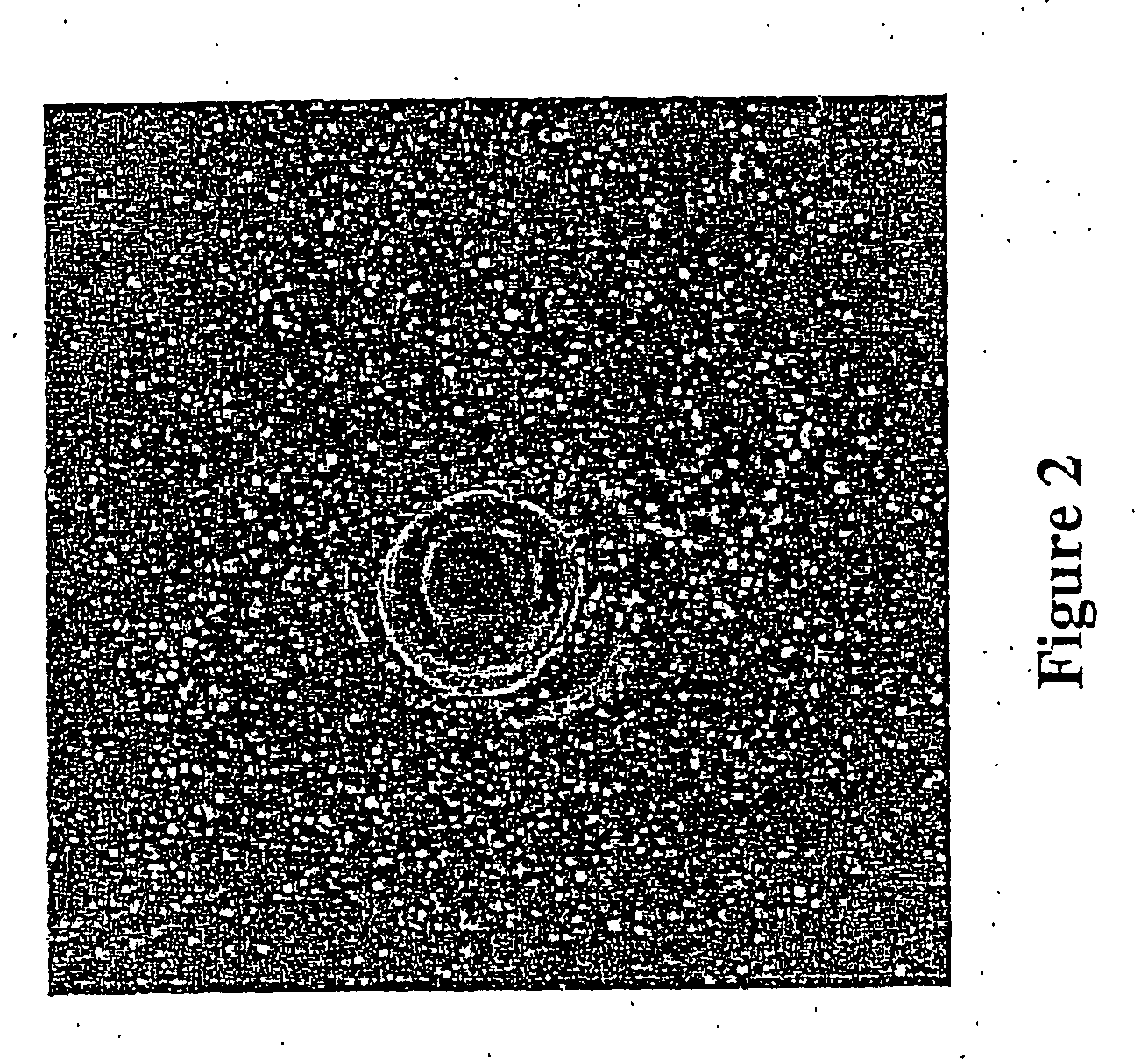 Method for identifying cellular growth inhibitors