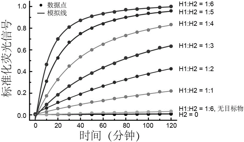 Immune lipid-polymer hybridized nanoparticle biological chip and preparation method and application thereof in disease detection