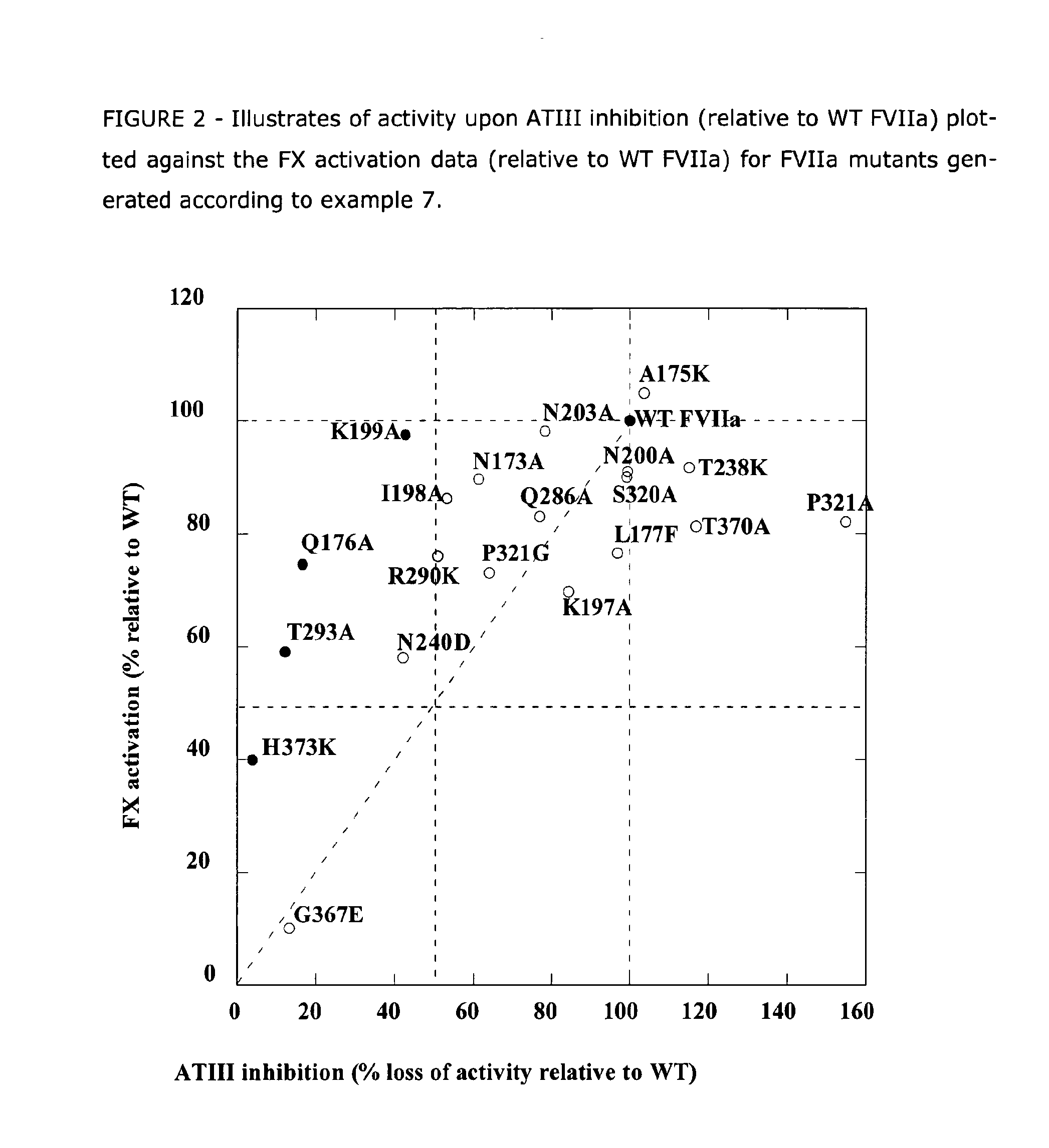 Human Coagulation Factor VII Polypeptides