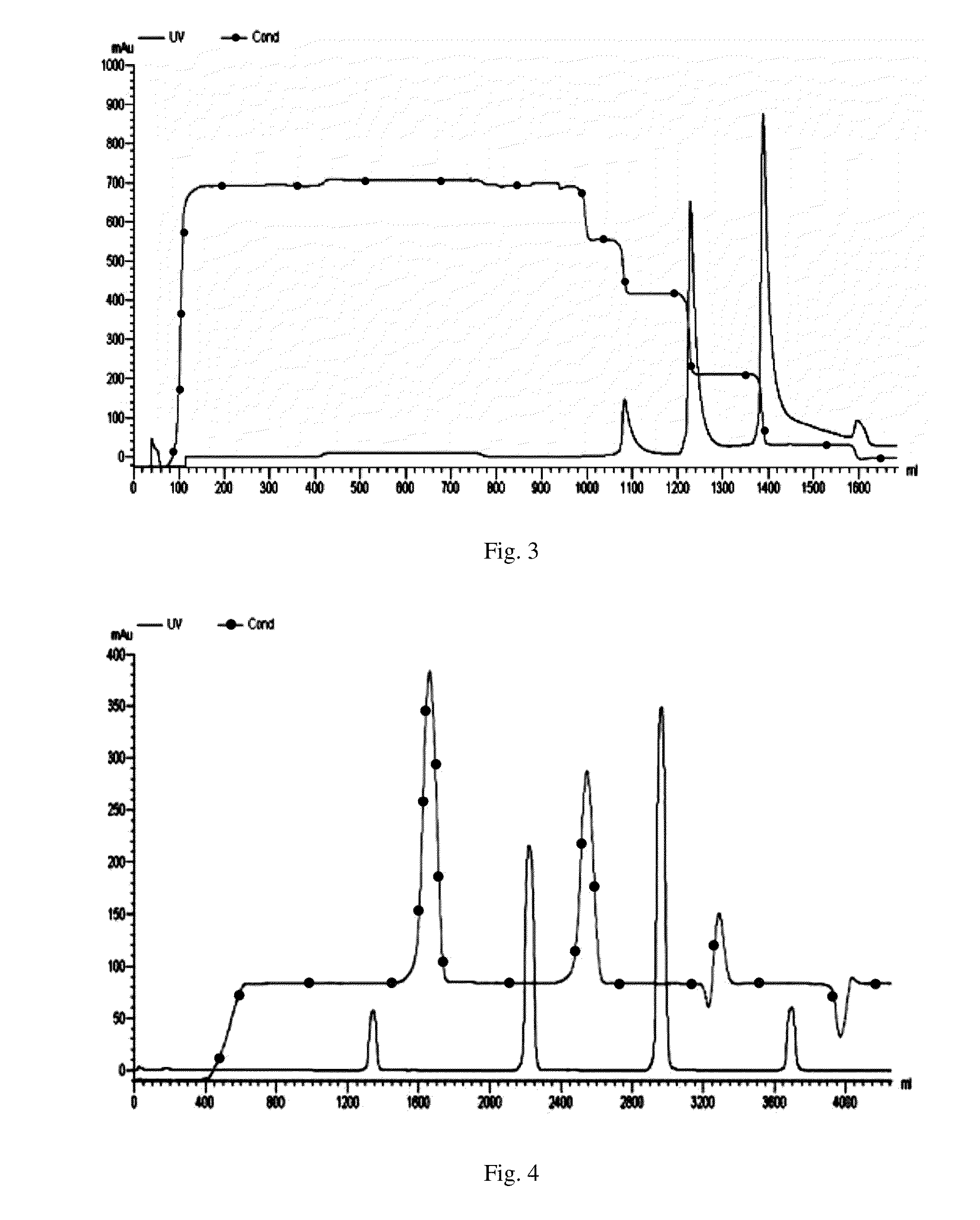 Maytansinoid derivatives