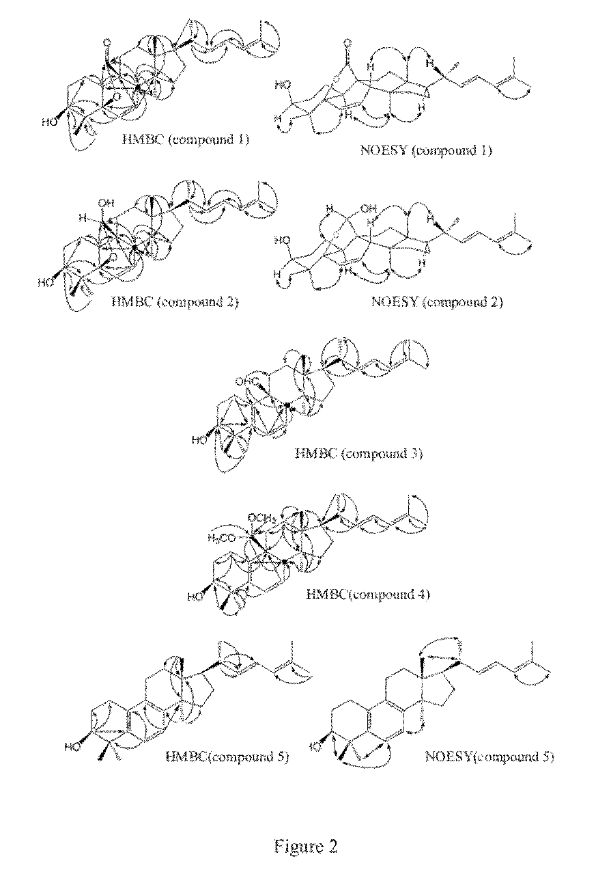 Cucurbitane-Triterpenoid Compounds, Pharmaceutical Composition, Use and Preparation Method Thereof