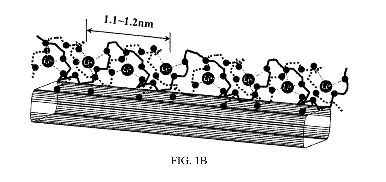 Nanofilled Solid Polymer Electrolytes