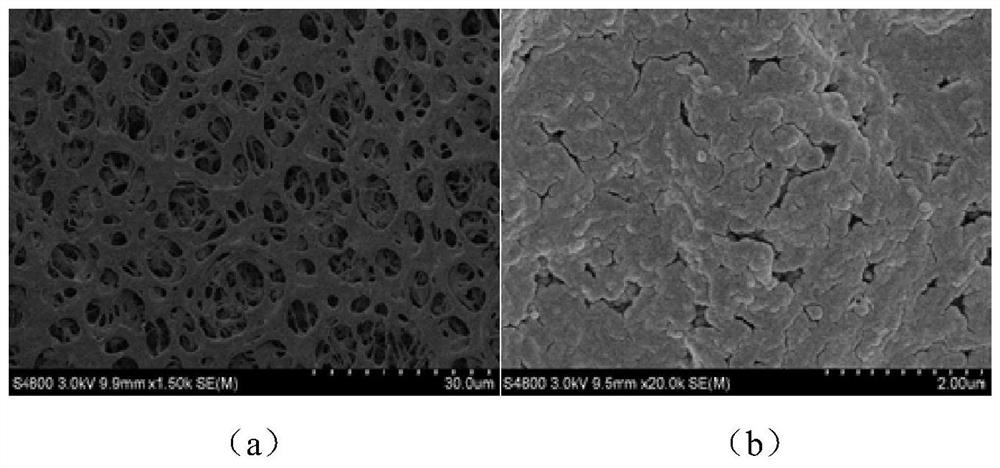 Portable photothermal seawater desalination hollow fiber membrane, preparation method, device and application