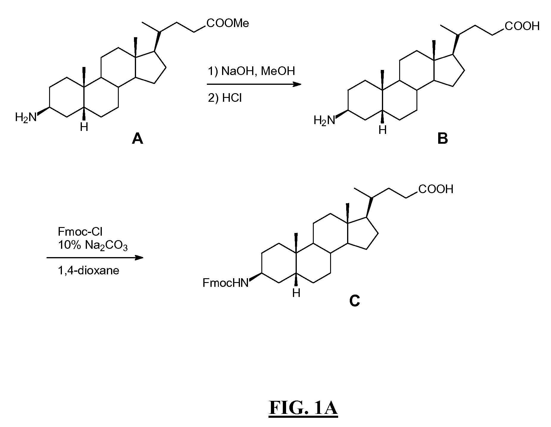 Gastrin Releasing Peptide Compounds