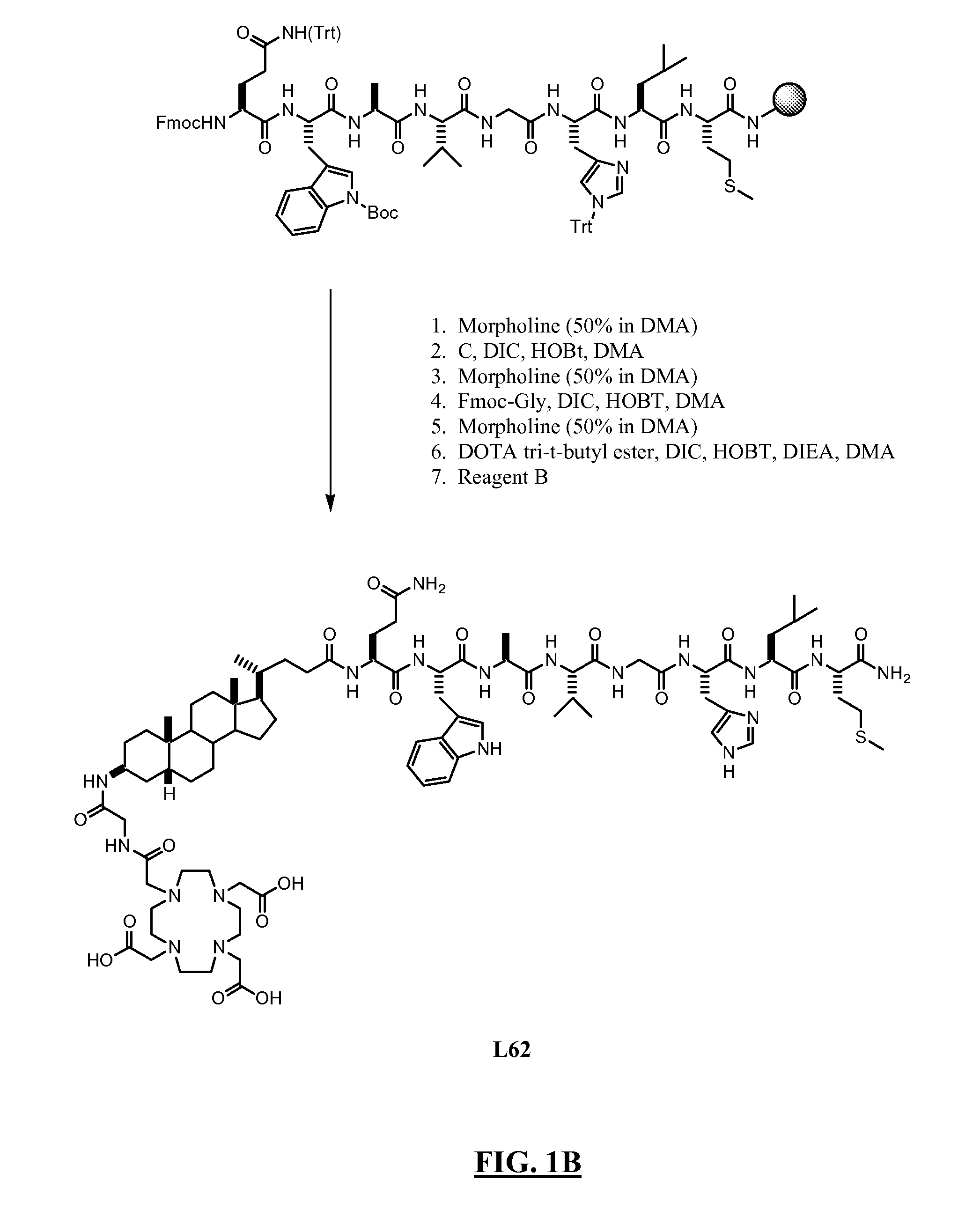 Gastrin Releasing Peptide Compounds