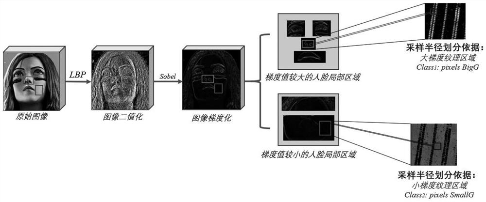 Depth binary feature facial expression recognition method based on lightweight network