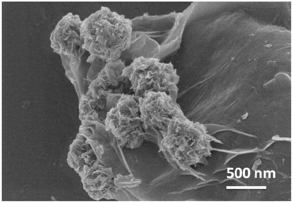 Preparation method for graphene/three-dimensional flower-shaped bismuth ferrite composite absorbing material