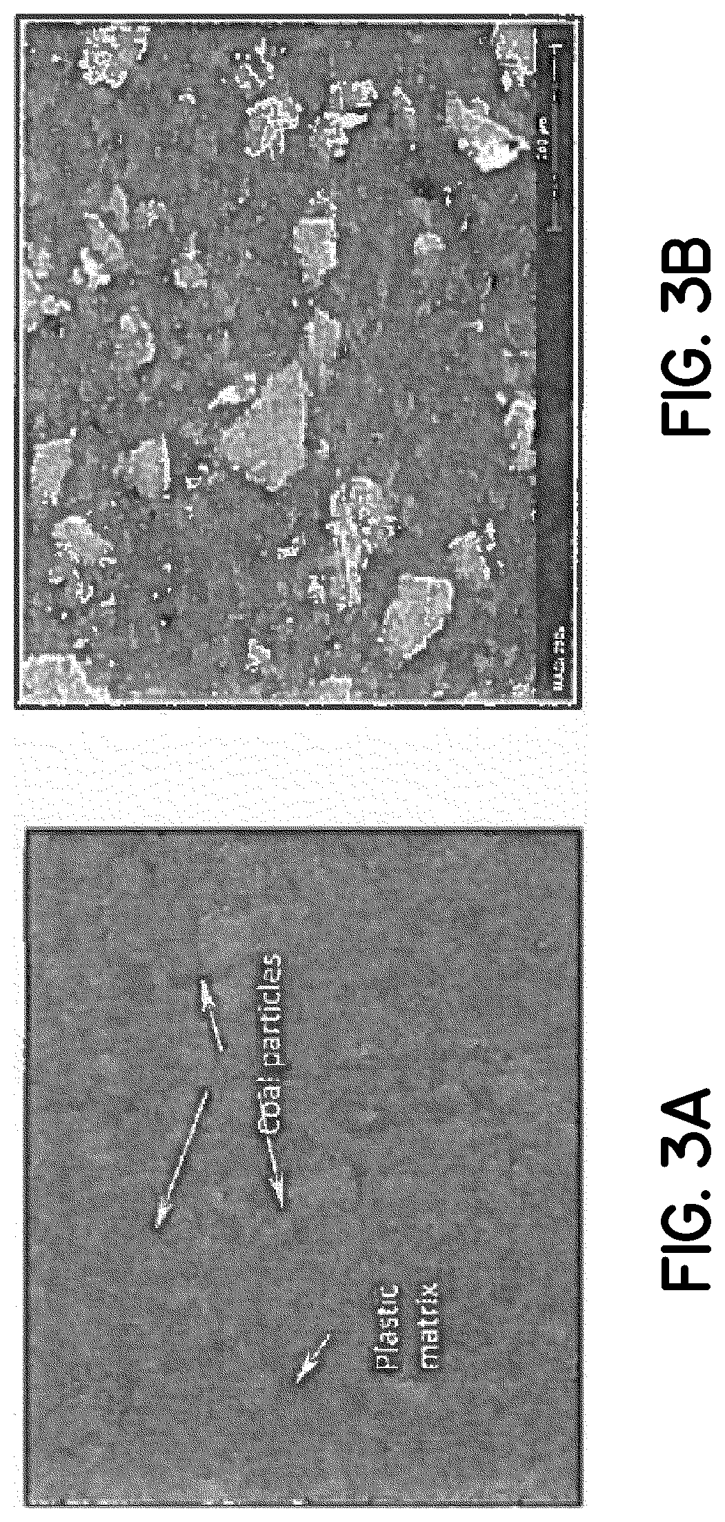 Coal plastic composites