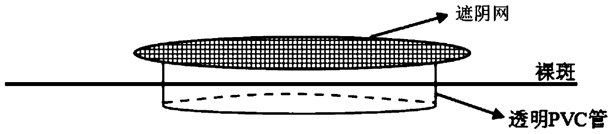 Method for repairing bare spots of coastal saline-alkali soil