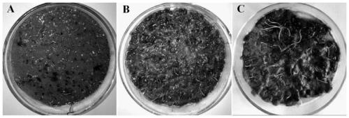 Method for repairing bare spots of coastal saline-alkali soil